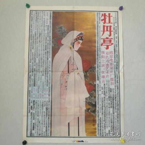 長崎県立大学会计文凭证书